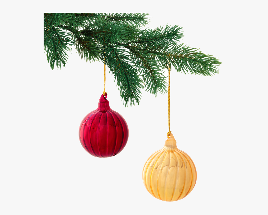 Christmas Fir Tree Png, Transparent Png, Free Download