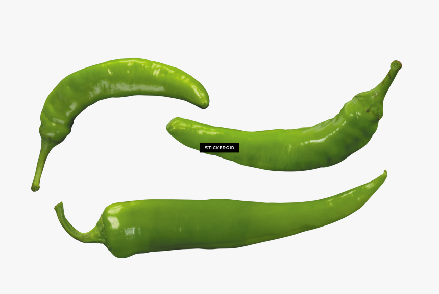 Bell Pepper Plant Png - Chili Pepper, Transparent Png, Free Download