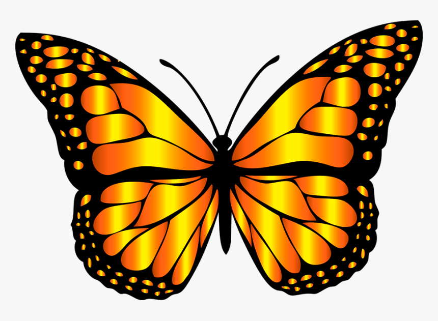 Orange Butterfly Clip Art, HD Png Download, Free Download