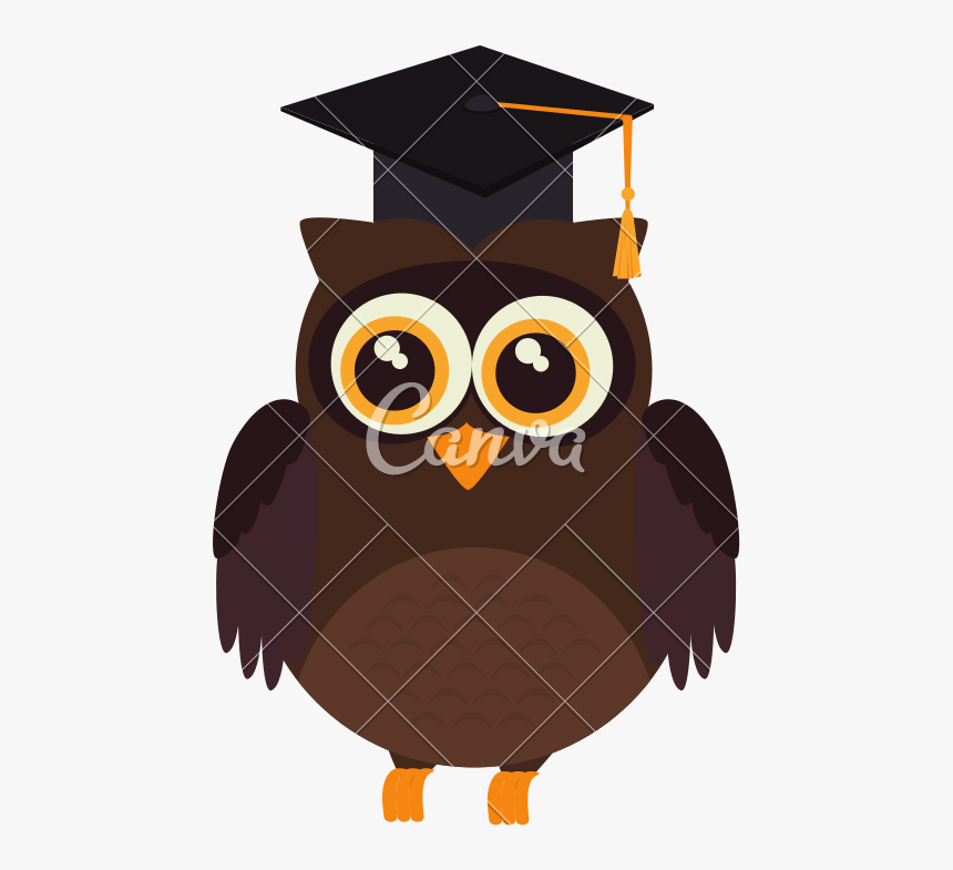 Transparent Graduation Owl Clipart - Owl Graduation, HD Png Download, Free Download