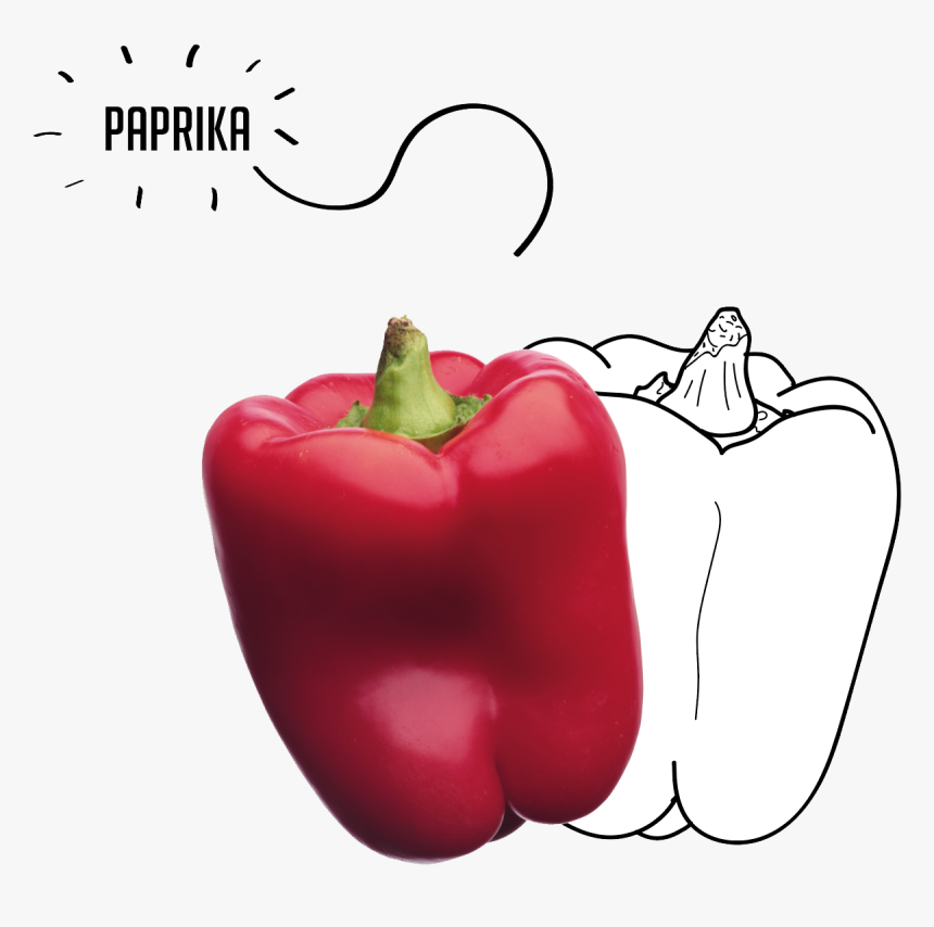 Paprika Red Bell Pepper - Red Bell Pepper, HD Png Download, Free Download