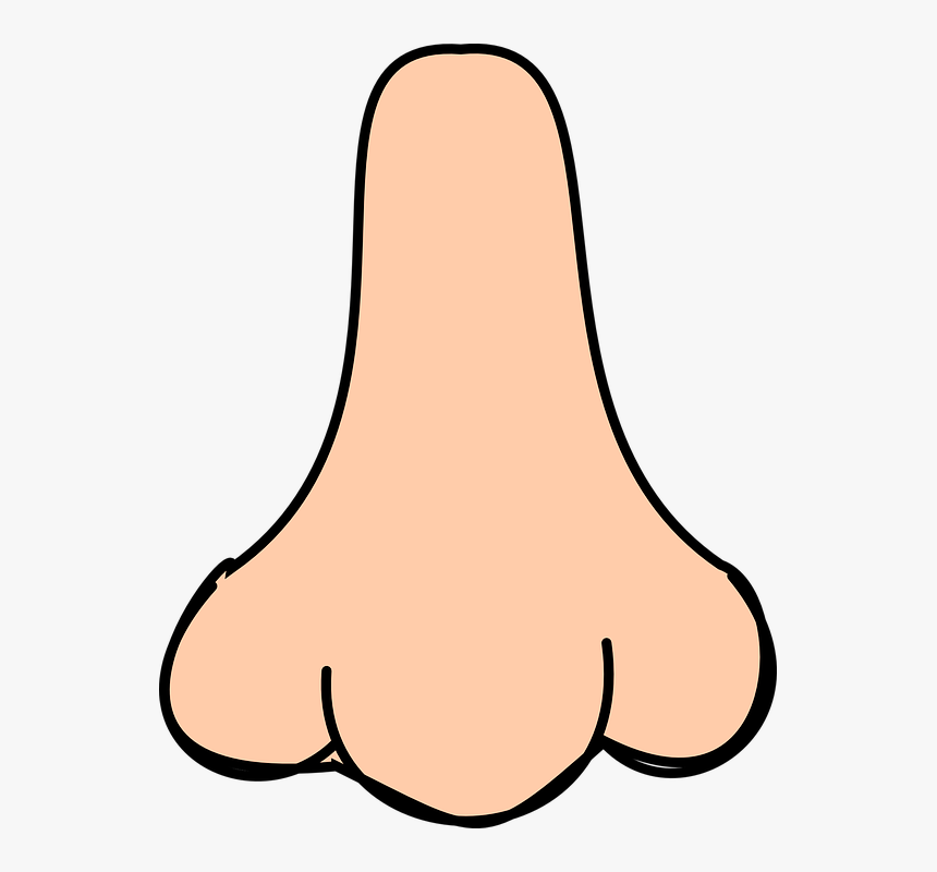 Nose Clipart, HD Png Download - kindpng.