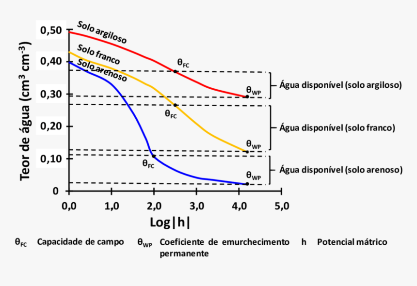 Curva De Retenção De Água No Solo Argiloso, HD Png Download, Free Download