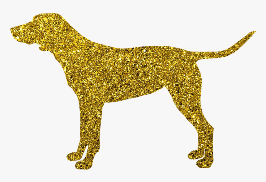 Perro, Perro De Oro, Perrito, Animales, Cachorro - Rump Of A Dog, HD Png Download, Free Download