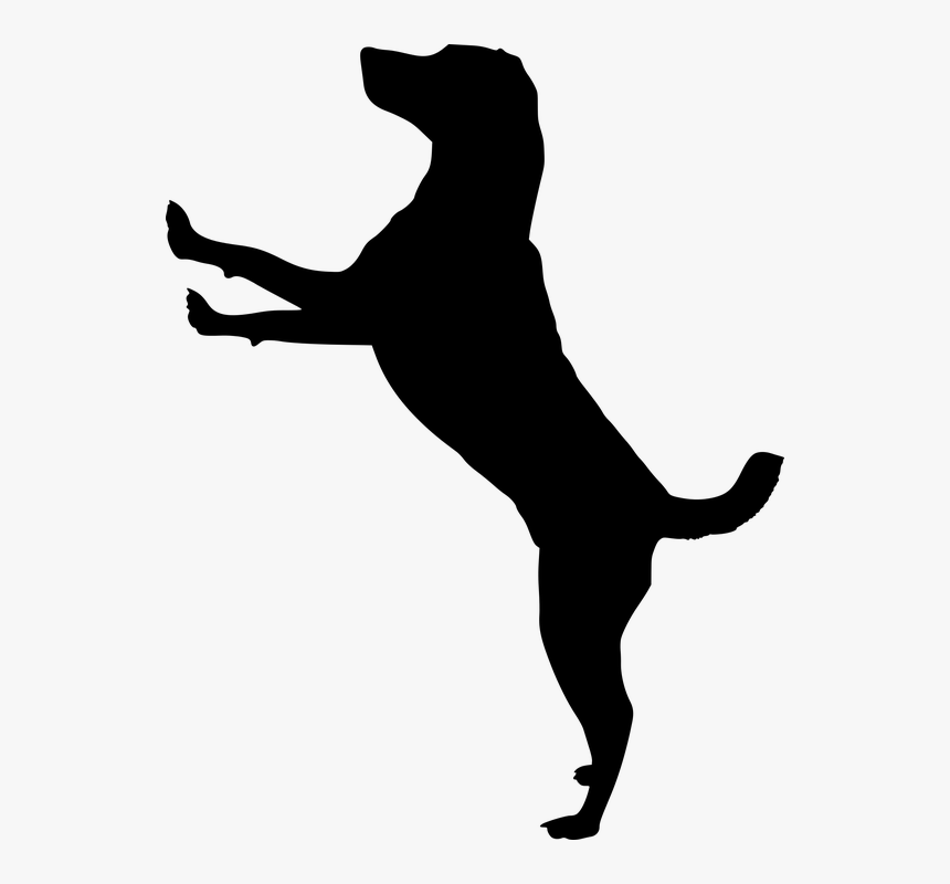 Silueta, Perro, Perrito, Animales, Casa De Perro - Jumping Dog Silhouette Clip Art, HD Png Download, Free Download