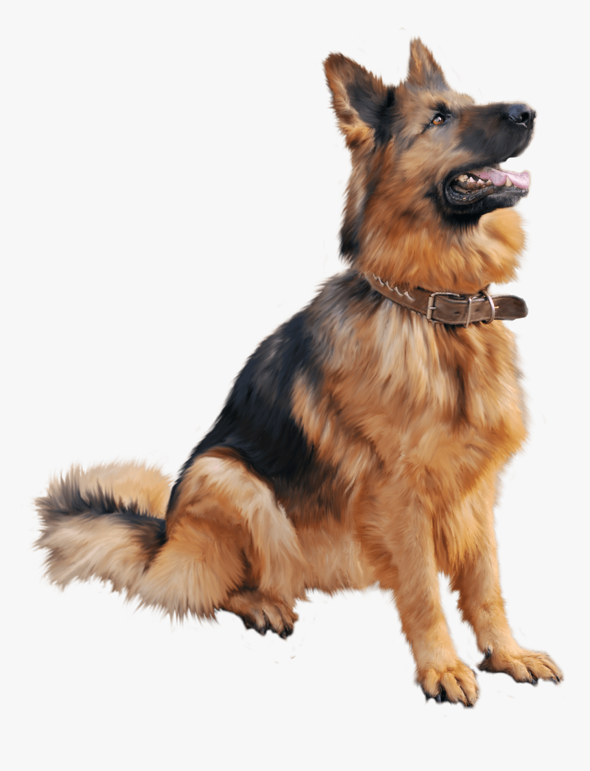 Gran Perro Pastor - Png Dog, Transparent Png, Free Download