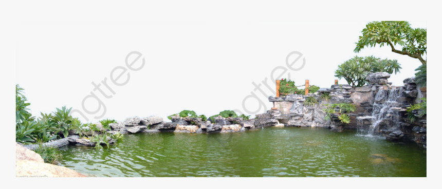 Transparent River Rat Clipart - Transparent Background Pond Png, Png Download, Free Download