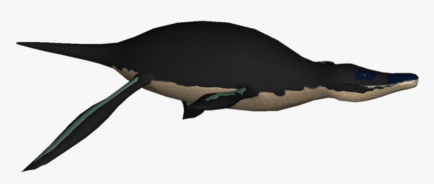 Liopleurodon12 - Humpback Whale, HD Png Download, Free Download