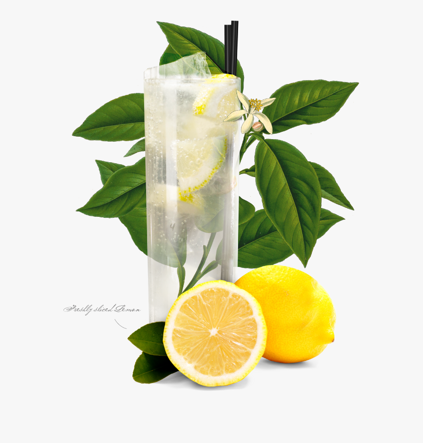 Lemon Juice, HD Png Download, Free Download