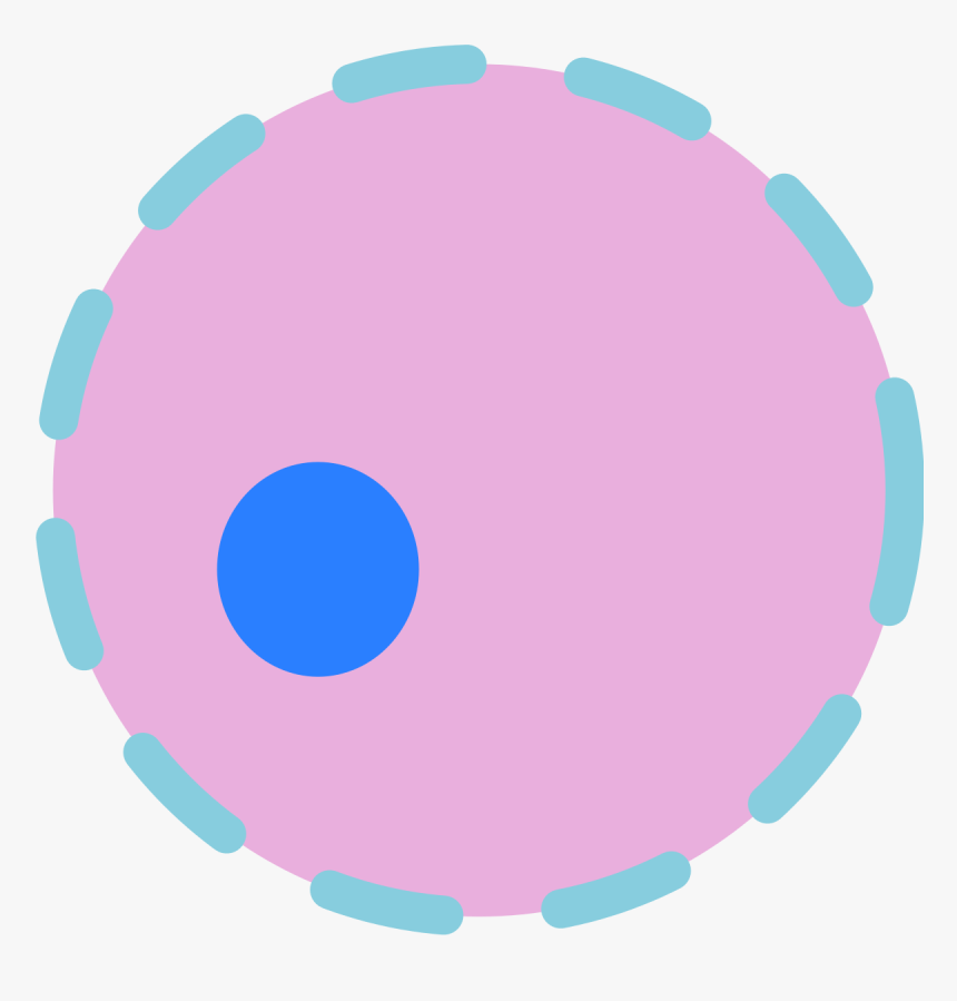 Nucleus Png, Transparent Png, Free Download