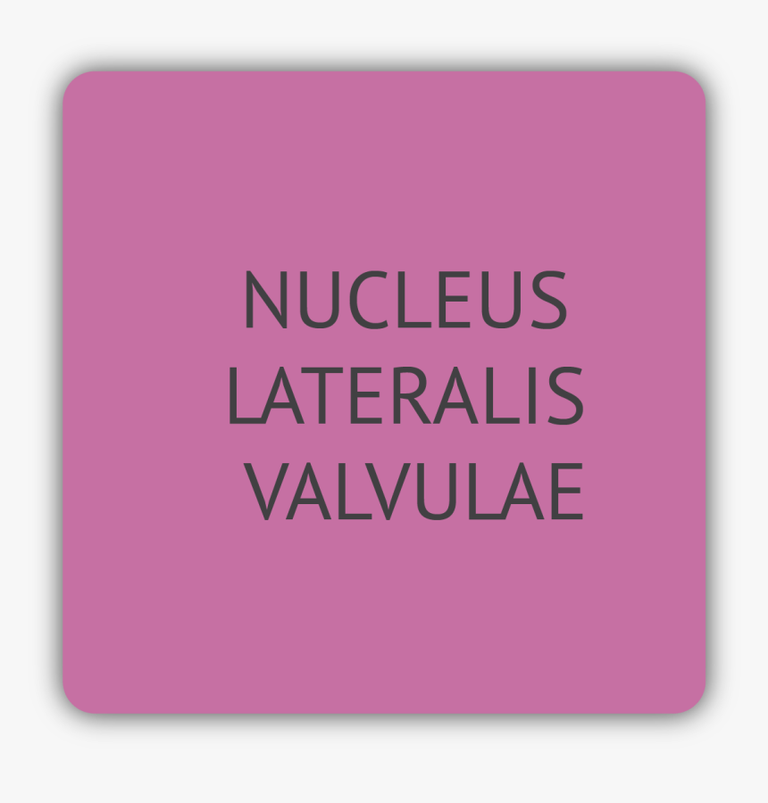 Nucleus Lateralis Valvulae, HD Png Download, Free Download