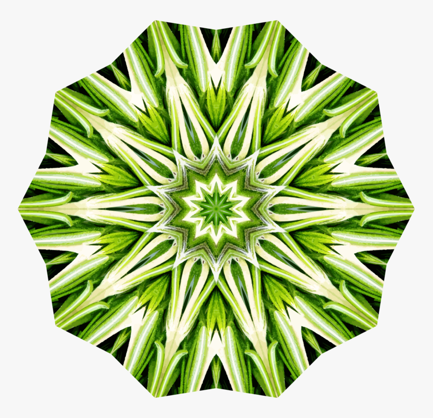 Plant,flora,leaf - Optical Illusion, HD Png Download, Free Download