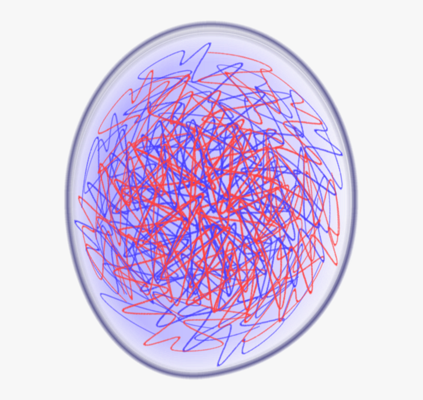 Nucleus, Mitosis, Eukaryotic Cell Division - Interphase, HD Png Download, Free Download