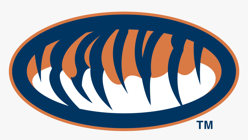 Auburn Tigers Logo Png, Transparent Png, Free Download