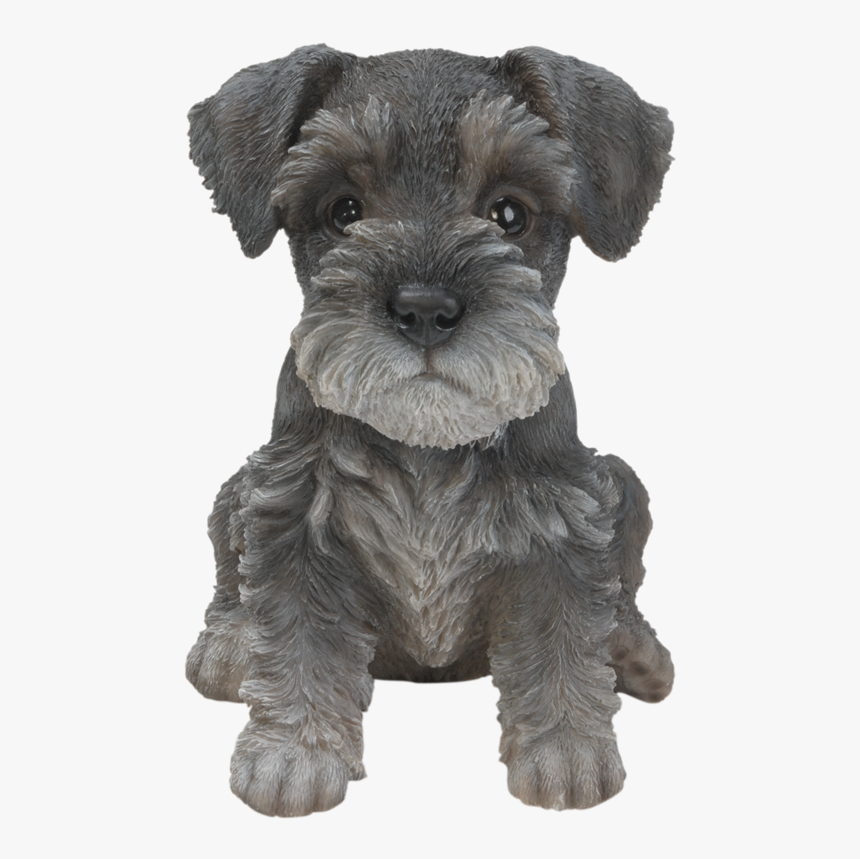 Transparent Miniature Schnauzer Clipart - Miniature Schnauzer Dog Png, Png Download, Free Download