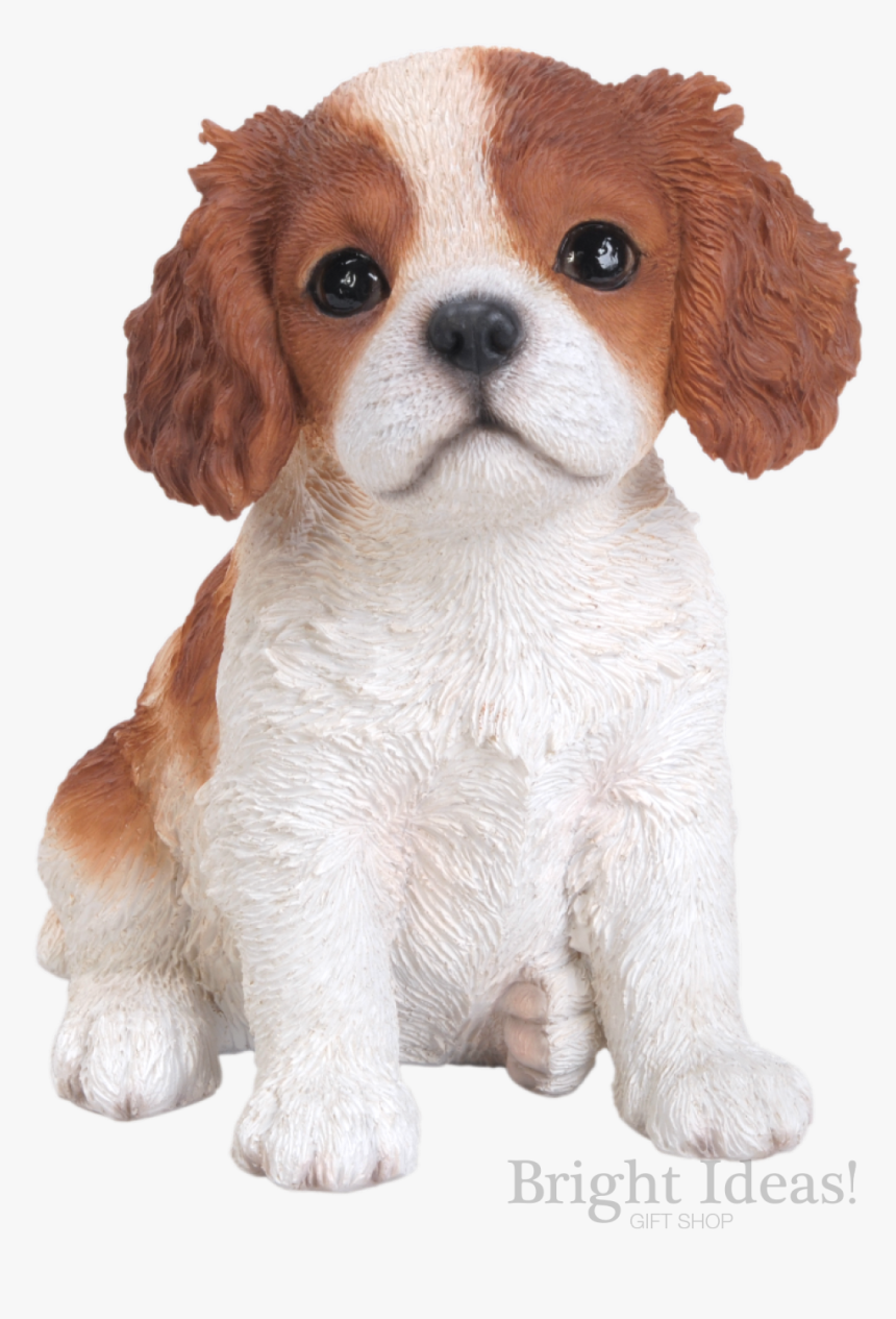 King Charles Puppy Dog Vivid Arts Pet Pals Brown - Cavalier King Charles Spaniel, HD Png Download, Free Download