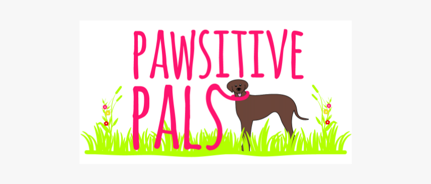 Pawsitive Pals - Dog Catches Something, HD Png Download, Free Download