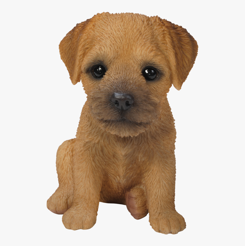 Small Image Of Pet Pals Border Terrier Puppy - Cute Border Terrier Puppy, HD Png Download, Free Download