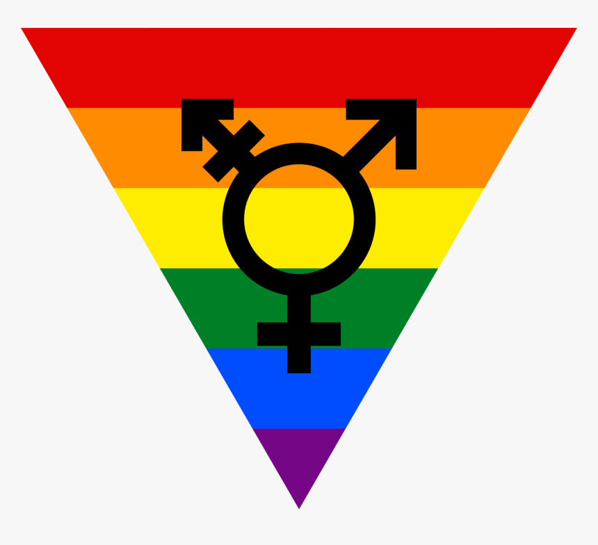 Transparent Lesbian Symbol Png - Transgender Symbol, Png Download, Free Download
