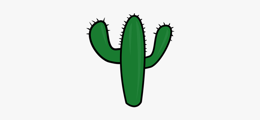 Cactus, Plant, Desert, Figure, Pattern, Texture - Prickly Pear, HD Png Download, Free Download