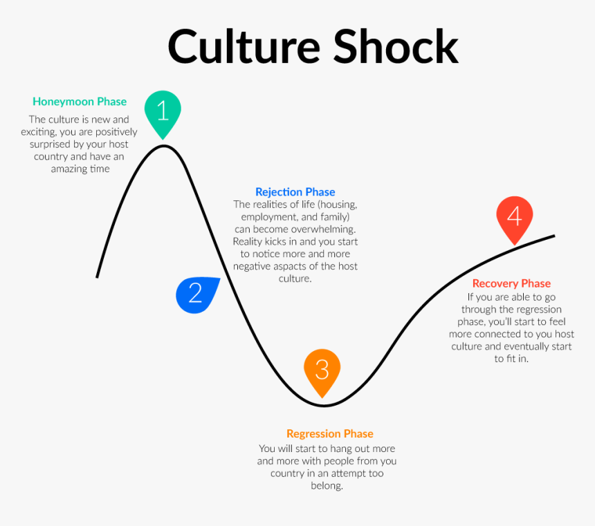 Culture Shock Phases, HD Png Download, Free Download