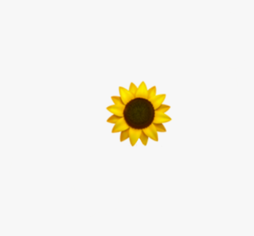 #girasol #sunflower #emoji #flor - Sunflower, HD Png Download, Free Download