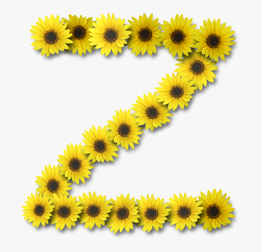 Alfabeto Sunflowers Z, HD Png Download, Free Download