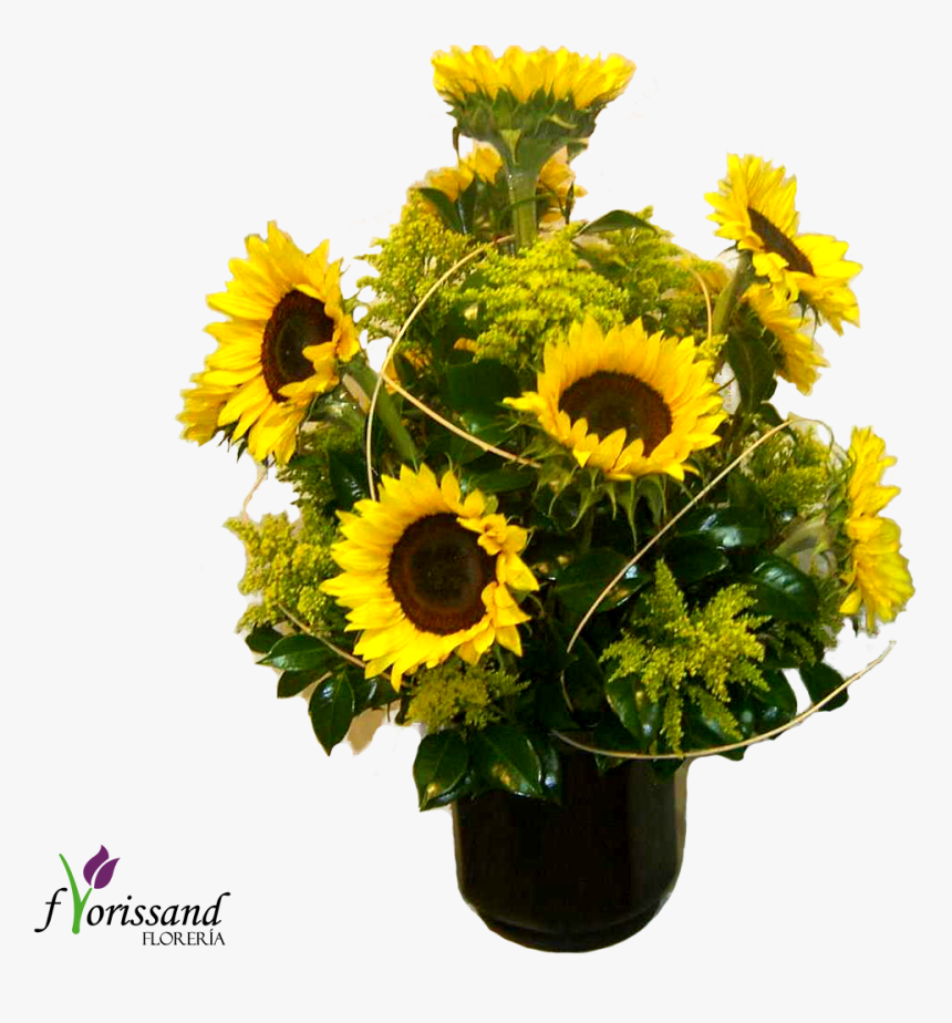 Girasol - Bouquet, HD Png Download, Free Download