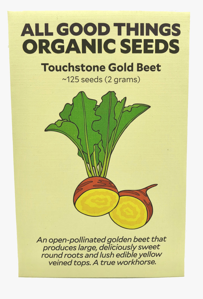 Touchstone Gold Beet - Turnip, HD Png Download, Free Download
