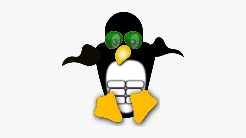 Linux Logo Penguin White - Dslinux Logo, HD Png Download, Free Download