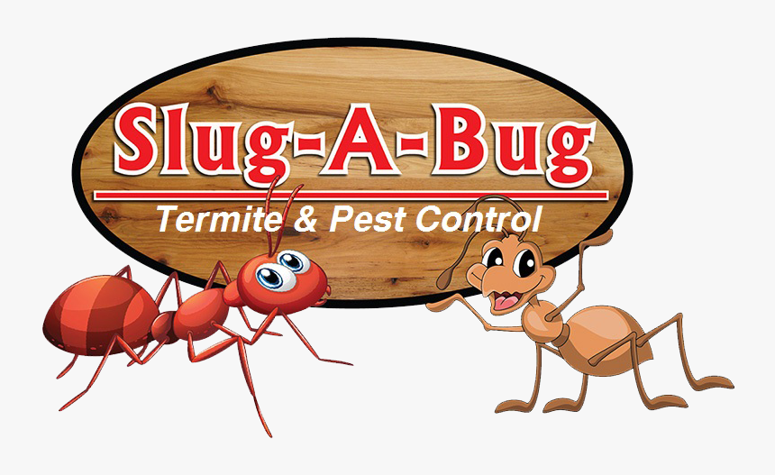 Slug A Bug Inc - Cartoon, HD Png Download, Free Download
