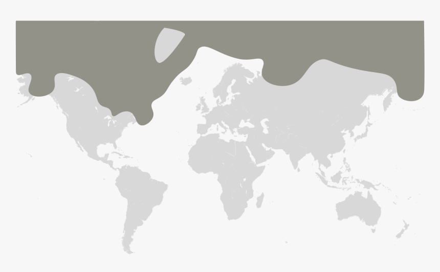 Polar Bear Map - World Map Header, HD Png Download, Free Download