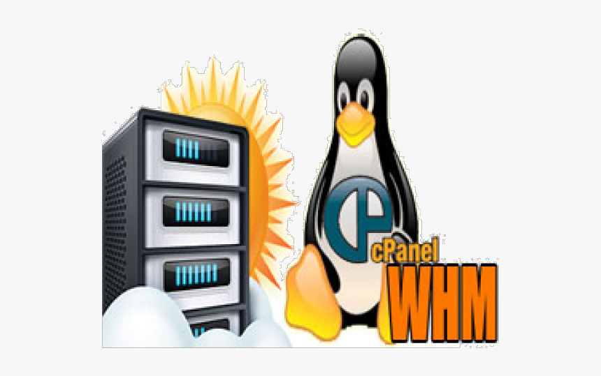 Linux Hosting Png Transparent Images - King Penguin, Png Download, Free Download