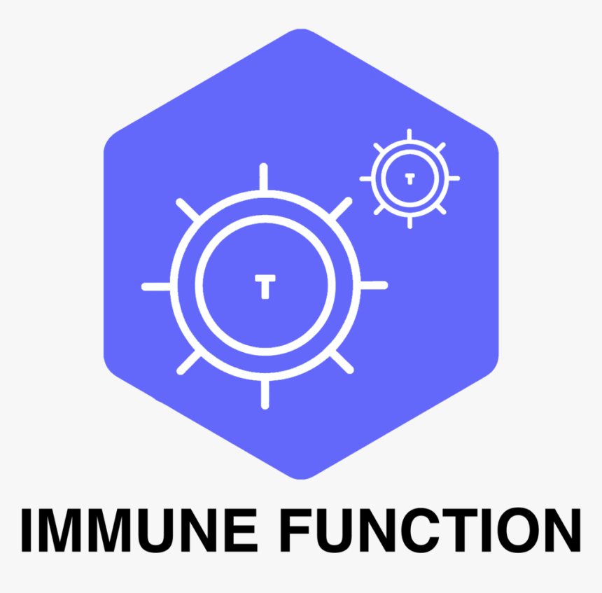 Reboot Pod Immune Symbol - Bring Me The Horizon T, HD Png Download, Free Download