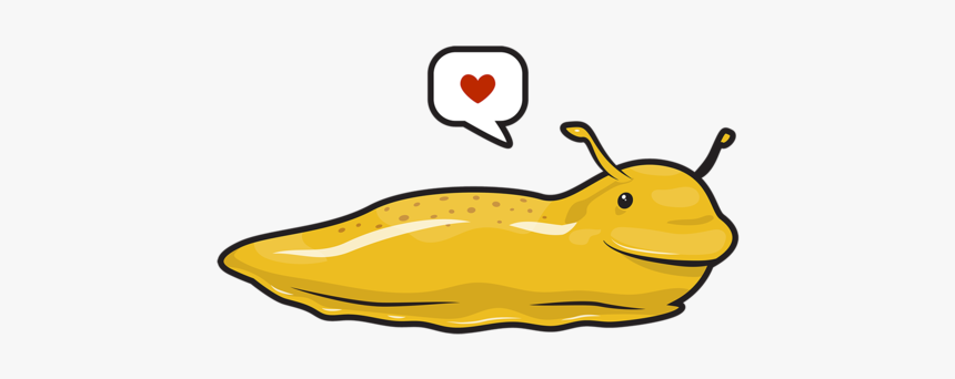 Optimized Banana Slug Hq Cliparts - Banana Slug Clipart, HD Png Download, Free Download