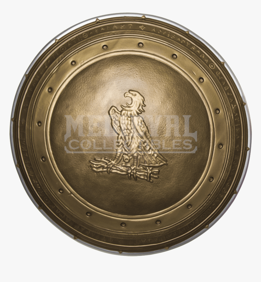 Adult Wonder Woman Shield - Justice League Wonder Woman Shield, HD Png Download, Free Download