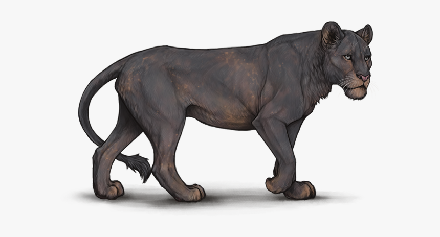 Elysian Base Lioden, HD Png Download, Free Download