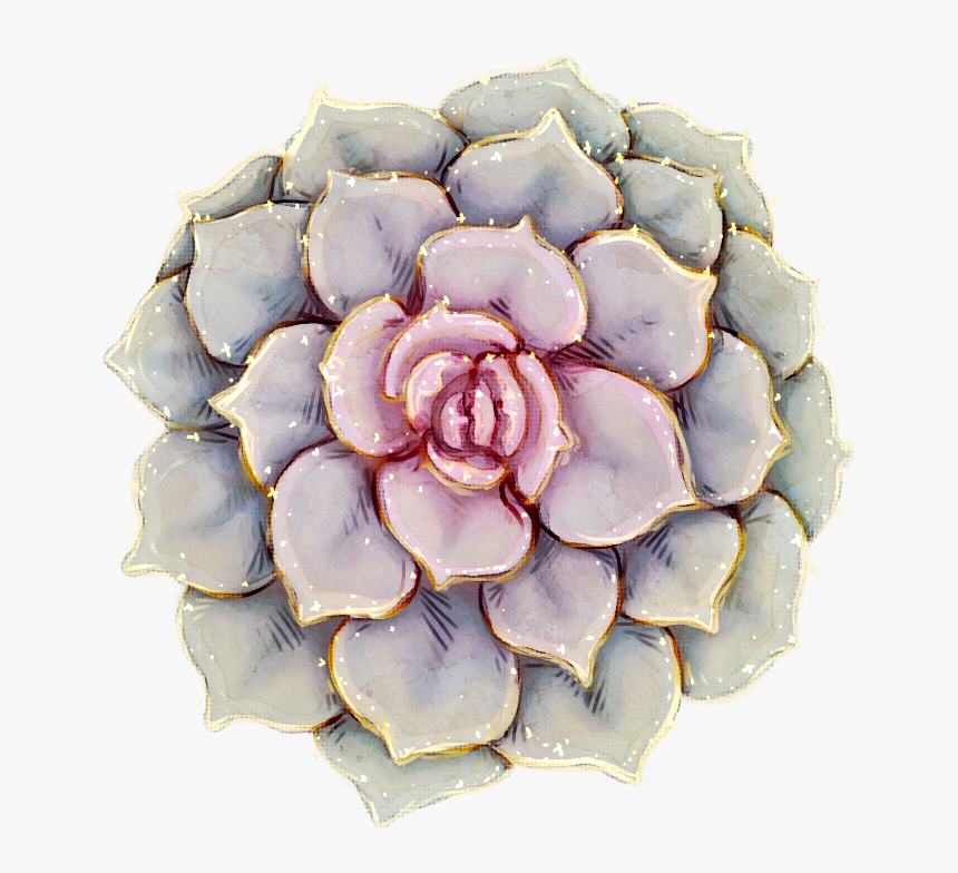 Echeveria, HD Png Download, Free Download