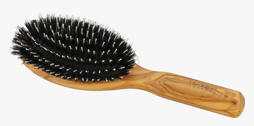 Hydrea Olive Wood Cushion Hair Brush With Boar Bristles - Makeup Brushes, HD Png Download, Free Download