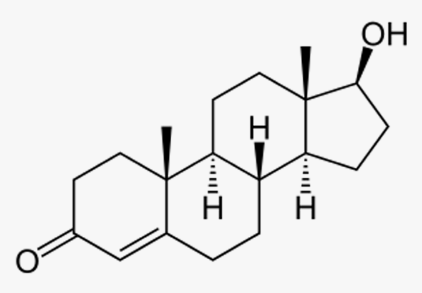 Transgender Drawing Transgend Female - Testosterone Structure, HD Png Download, Free Download