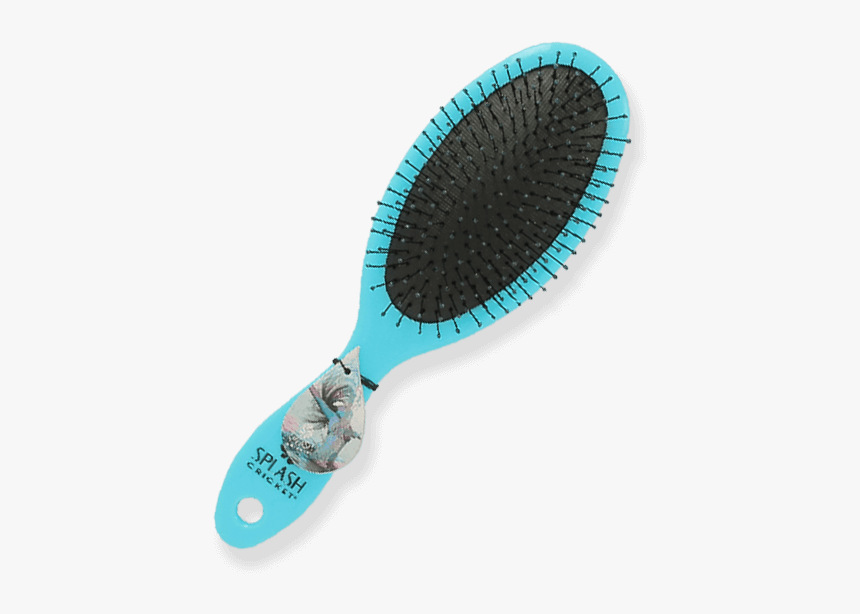 Paddle, HD Png Download, Free Download