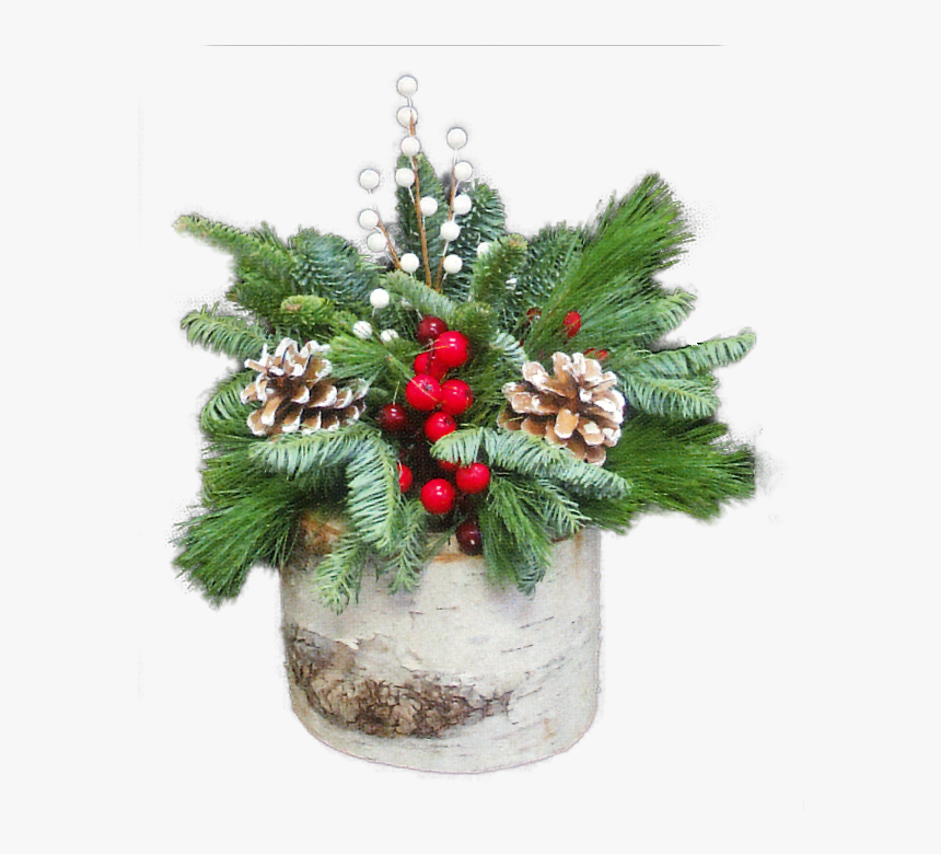 Birch Stump - Christmas Ornament, HD Png Download, Free Download