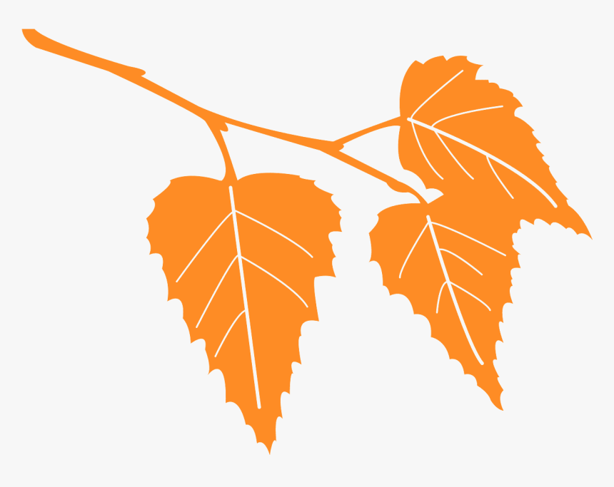 Birch Tree Leaf Silhouette, HD Png Download, Free Download