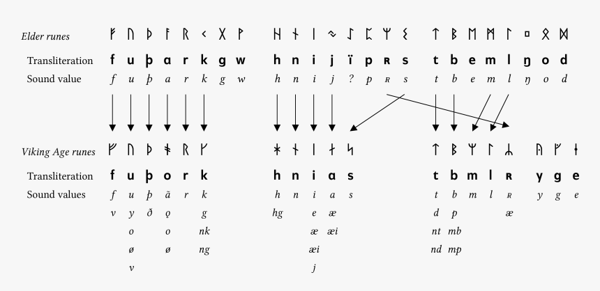 Futharks - Younger Futhark Viking Age Runes, HD Png Download, Free Download