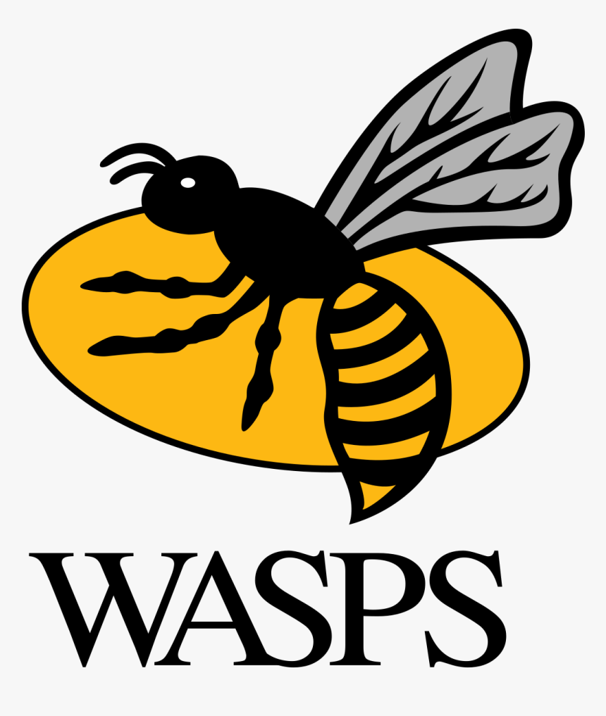 Wasps Rugby Logo, HD Png Download, Free Download