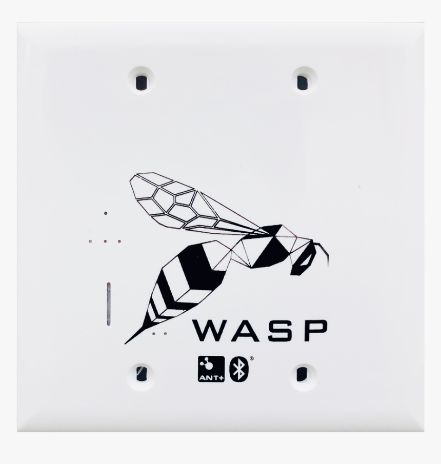Wasp Poe, HD Png Download, Free Download