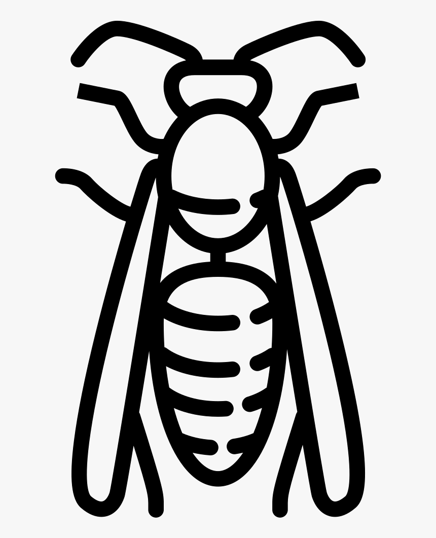 Big Wasp - Wasp, HD Png Download, Free Download
