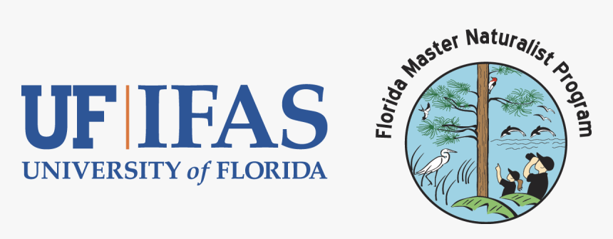 Fmnp Logo - University Of Florida, HD Png Download, Free Download