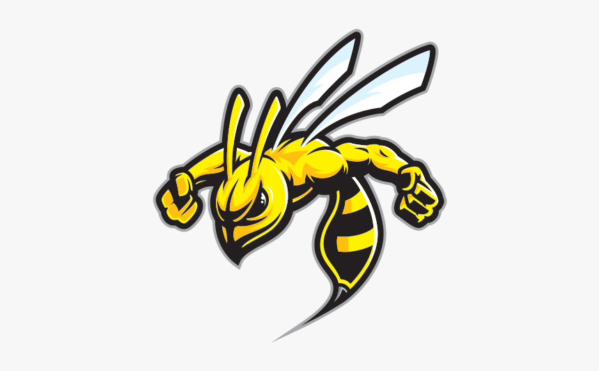 Printed Vinyl Wasp Stinger - Hornet Stickers, HD Png Download, Free Download