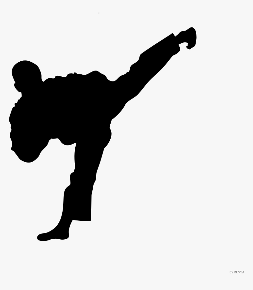 Moo Duk Kwan Taekwondo Moo Duk Kwan Taekwondo Martial - Moo Duk Kwan Taekwondo, HD Png Download, Free Download